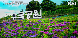 신안군 수국공원, '최다 수국 식재' 한국기록 수립 사진